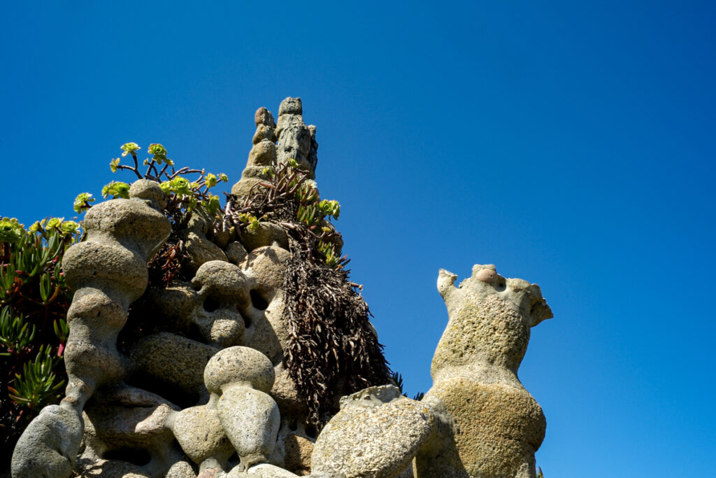 Close-up of a sunlit stone totem with vegetation atop in the Museo do Alemán, Camelle.