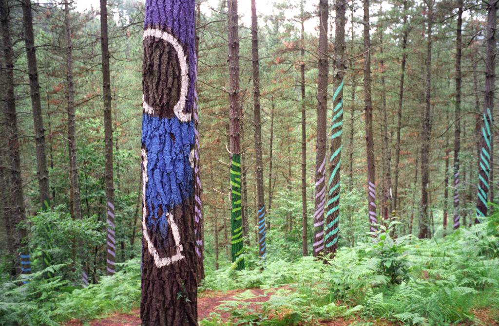 Tree trunks painted with blue and purple shapes, spirals, and diagonal stripes in Oma Forest.