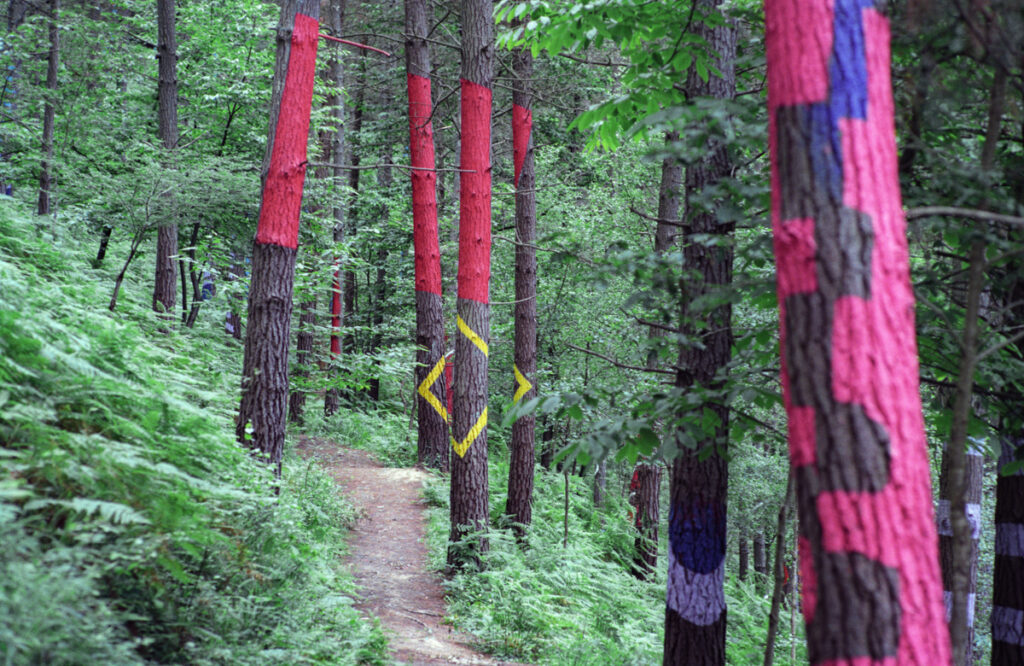 Pine trees painted with vertical red stripes and yellow diamond shapes along a forest path.