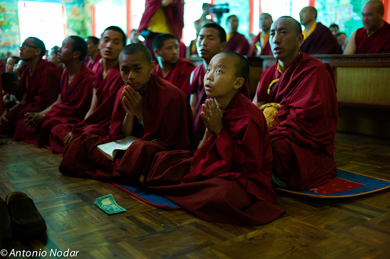 Young monks in maroon robes sit cross-legged on mats, hands pressed together in prayer inside a sunlit monastery hall.