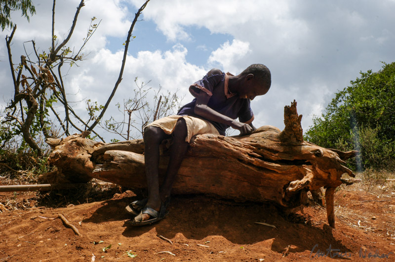 A barefoot child in tattered clothing sits alone on a large fallen tree trunk, gazing downward in a barren landscape.