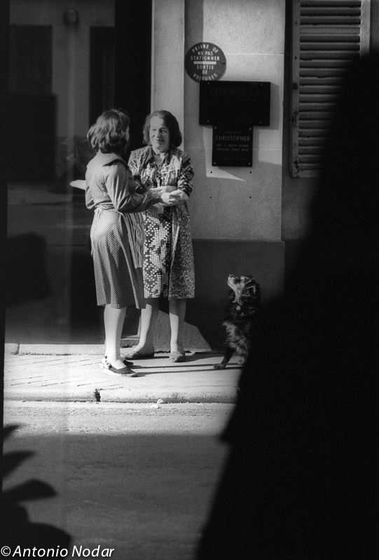 Two older women stand talking on a Paris sidewalk in the 1980s, one with a small dog at her side.