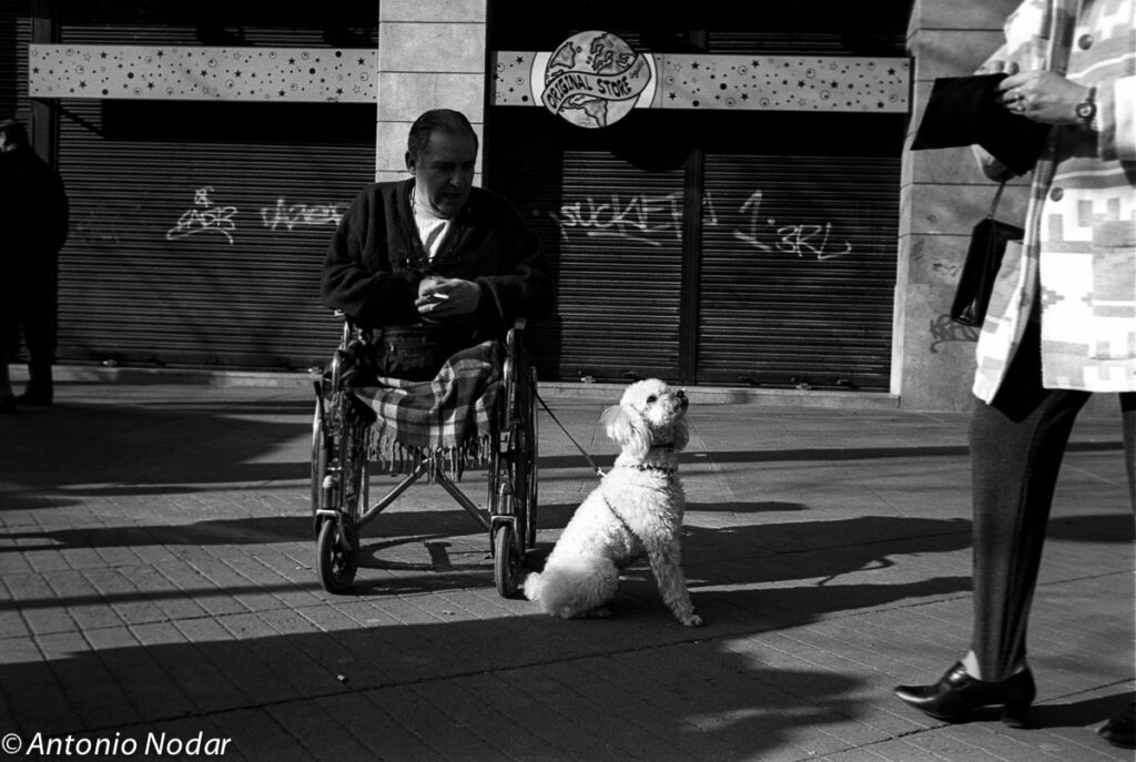 Man in a wheelchair with a plaid blanket seated outside a storefront, his dog sitting alert beside him, Barcelona street, 1990s.