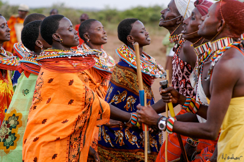 Samburu women adorned in vibrant bead necklaces and patterned shawls reach out in greeting to warriors holding ceremonial staffs during a cultural rite in Kenya’s Rift Valley