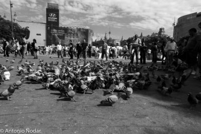 15 M 2011, Plaza Catalunya. Barcelona. Ambient