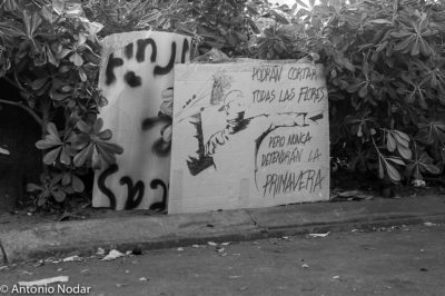 15 M 2011, Plaza Catalunya. Barcelona. Ambient